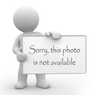 Lembaga Masyarakat Lainnya